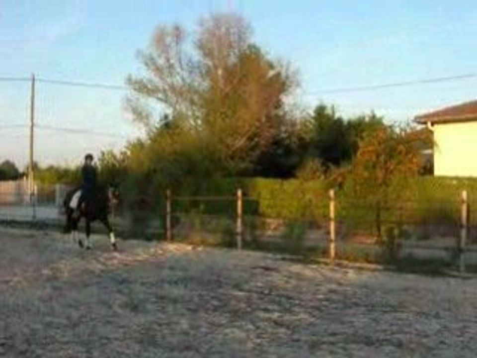 DSCN1454