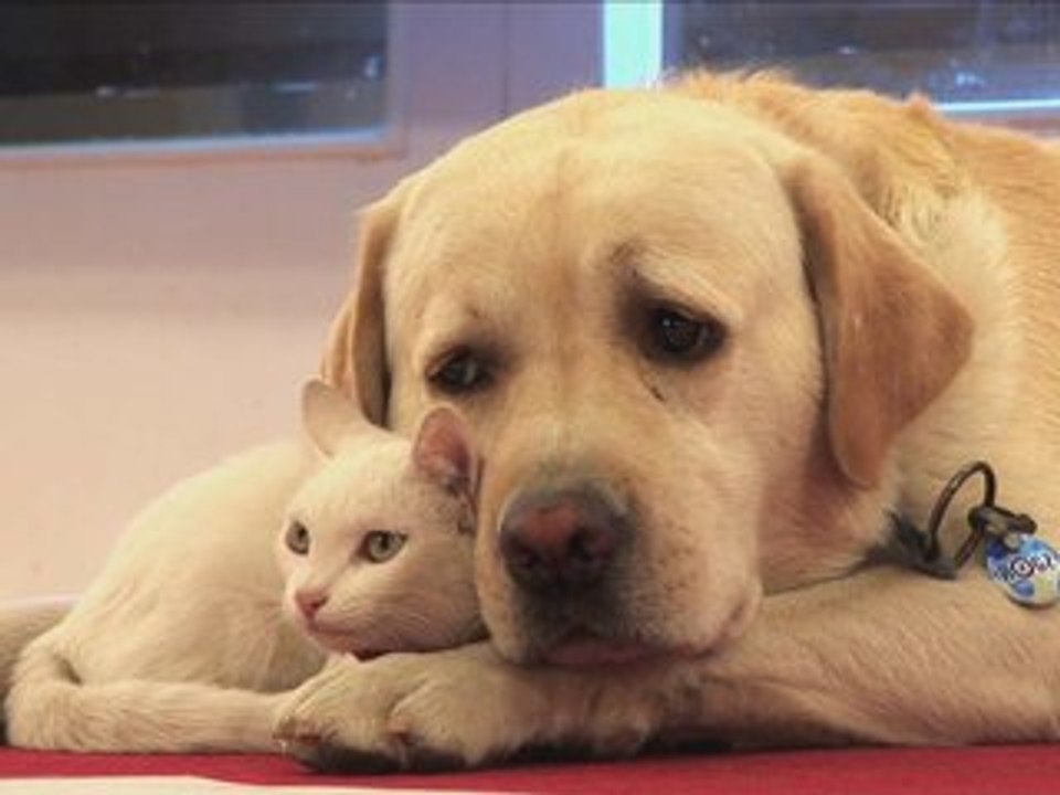 Nanu & Isis