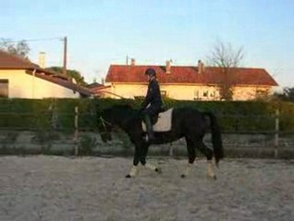 DSCN1459