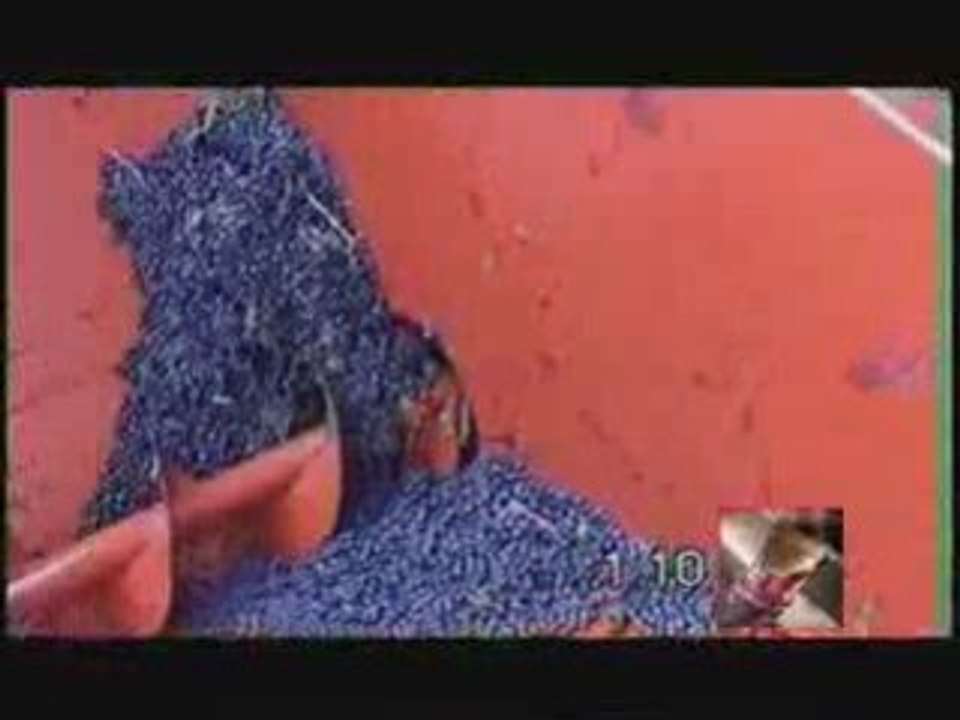 Réception de la vendange - Vinification en rouge