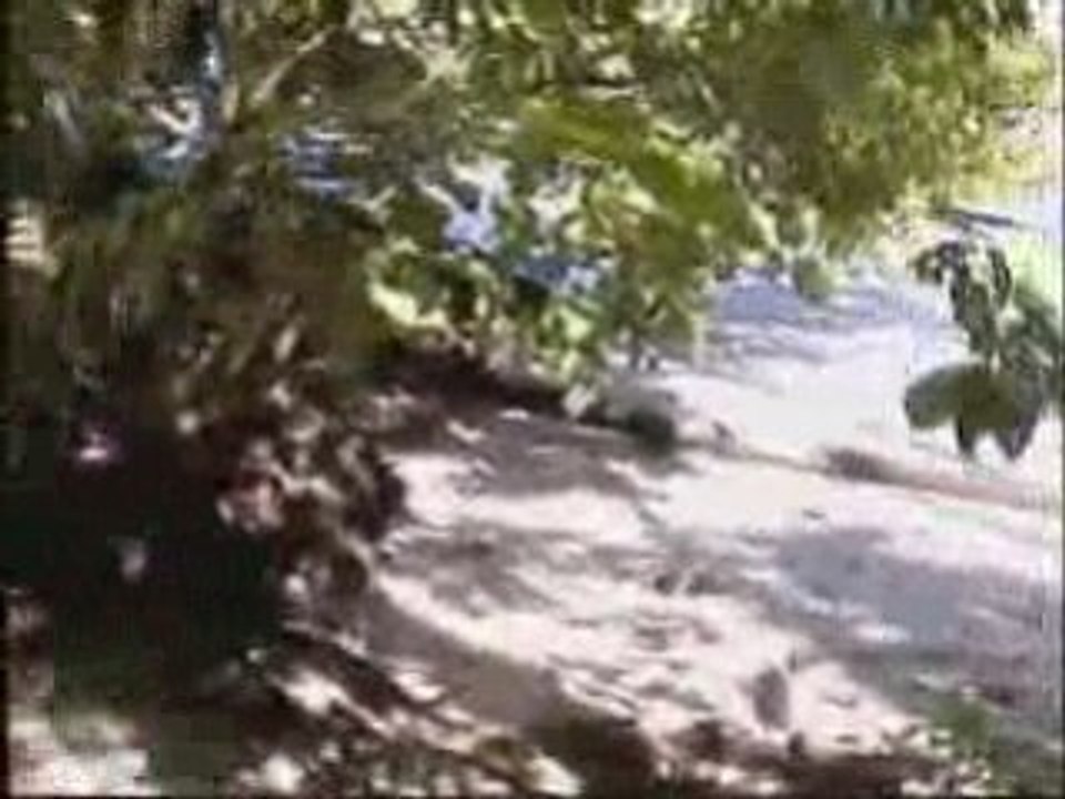 cheap hotels in samoa,fiji,bora bora,tahiti,cook island