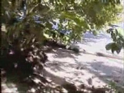 orient beach samoa,fiji,bora bora,tahiti,cook island