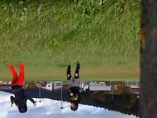 Les Pom-poms Girl &les grenouilles .