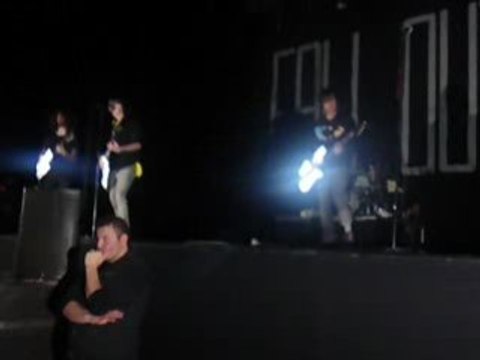 Fall Out Boy a lille (I Don't Care)