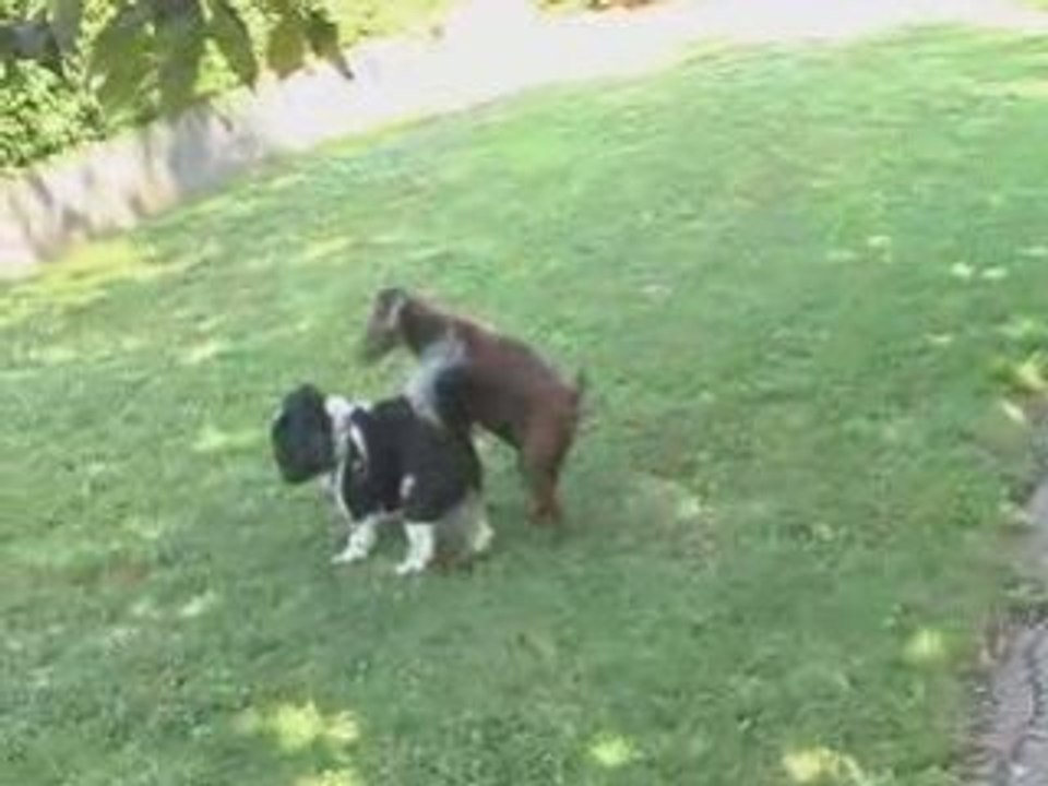 Quino 3,rue du Ventoux MEXIMIEUX