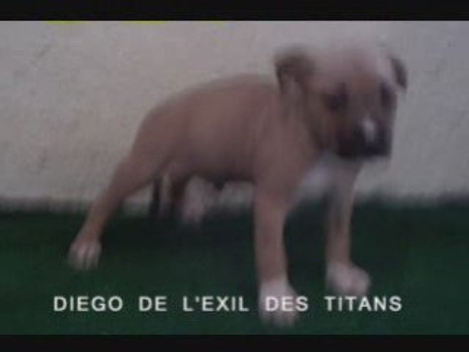 DIEGO DE L'ELEVAGE DE L'EXIL DES TITANS
