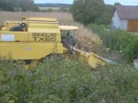 LA MOISSON DU MAÏS A PIERRE DE BRESSE 2008 SUITE