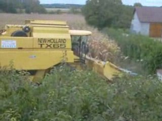 LA MOISSON DU MAÏS A PIERRE DE BRESSE 2008 SUITE