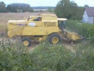 LA MOISSON DU MAÏS  A PIERRE DE BRESSE 2008 SUITE