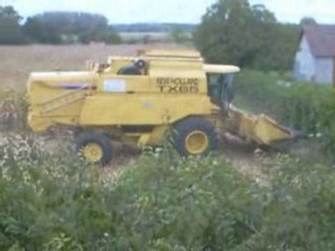 LA MOISSON DU MAÏS A PIERRE DE BRESSE 2008 SUITE