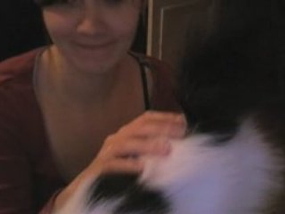 Chat3