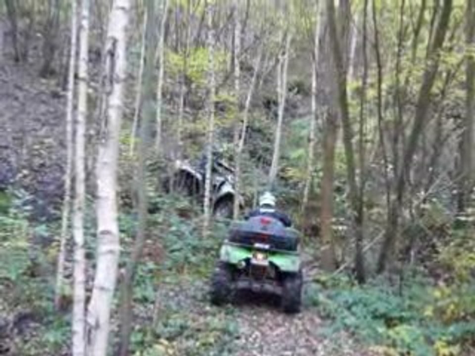 arctic cat thundercat quad & bike