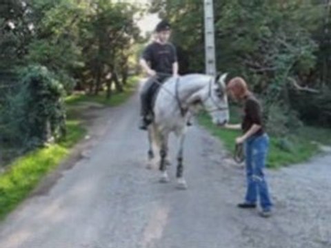 Pas Espagnol monté 1