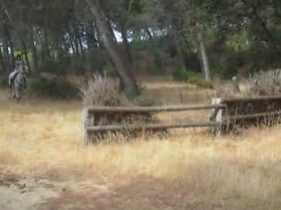 cross (3)