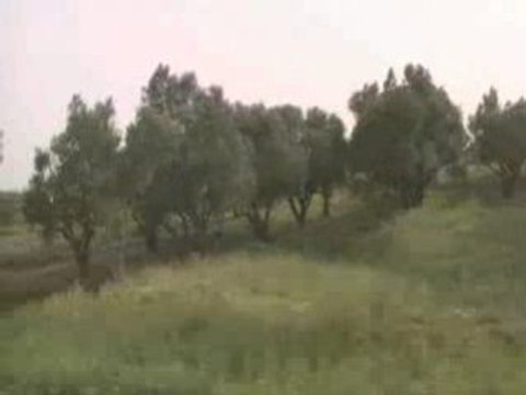 Bordj Bou Arreridj & Da Snitra