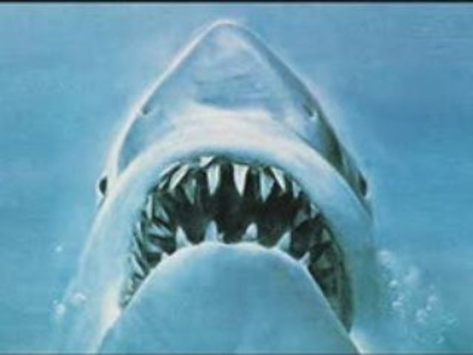 Pourquoi 20h de TF1 fait-il peur