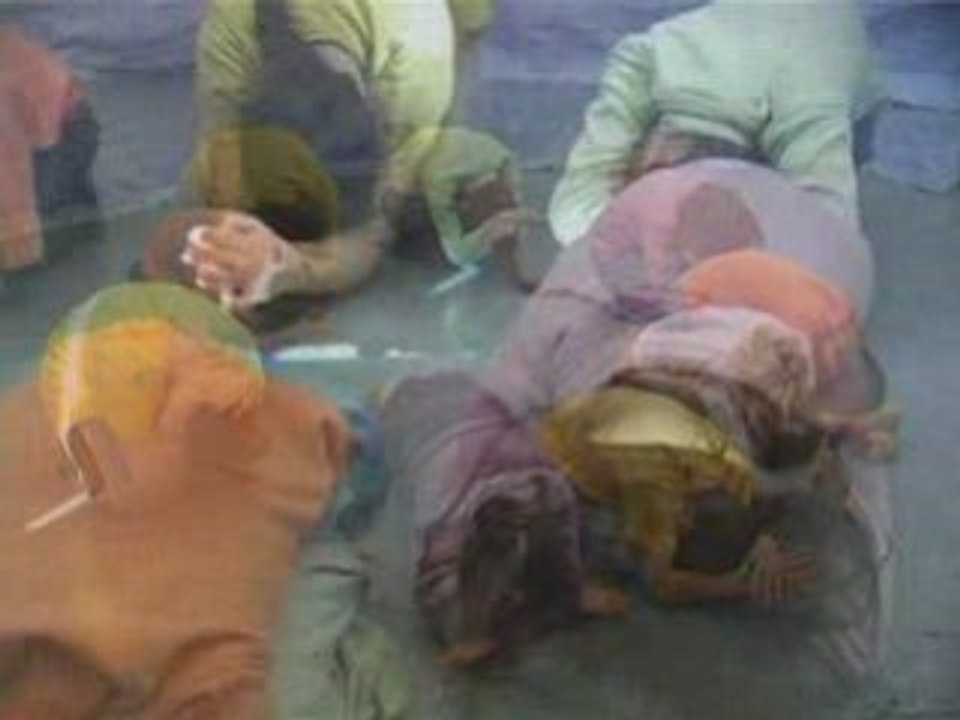 Ca pousse! (2005)