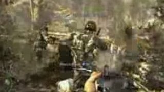 Call of Duty: World at War  Co-op Kills