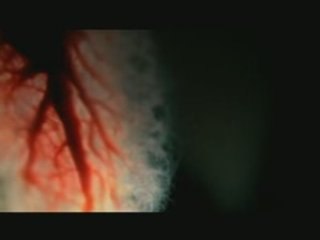 Isis : Holy Tears | Clip