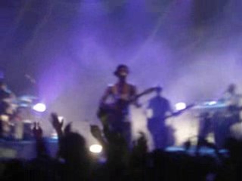 Patrice Everyday Good