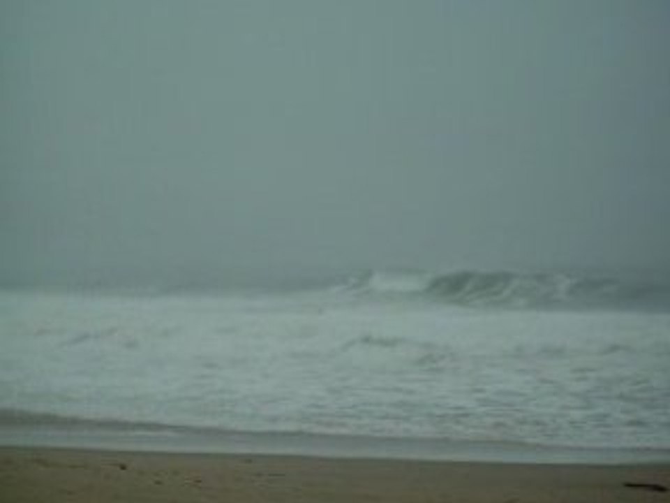 Le surf