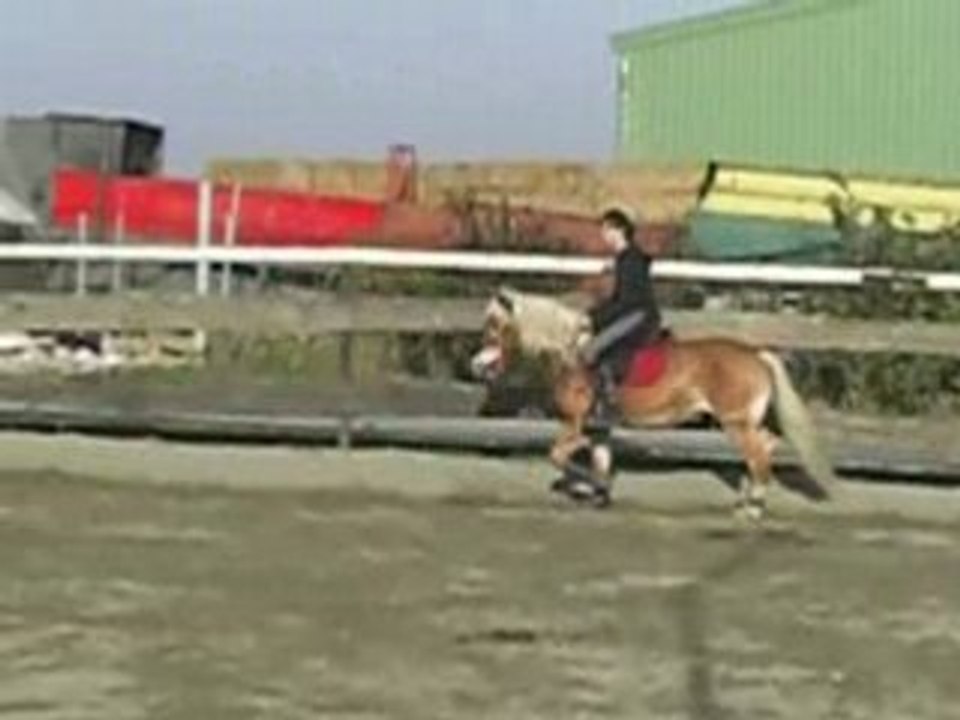 CIMG7569