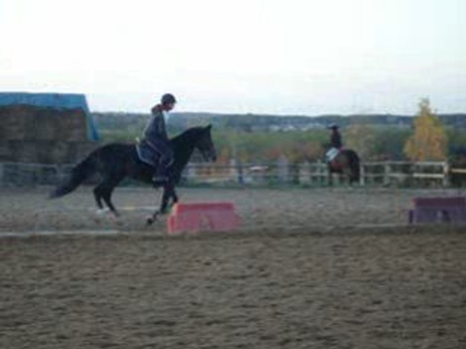 Cours de saut 22 Octobre 2008