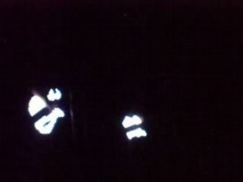 CONCERT FALL OUT BOY LILLE I DON'T CARE