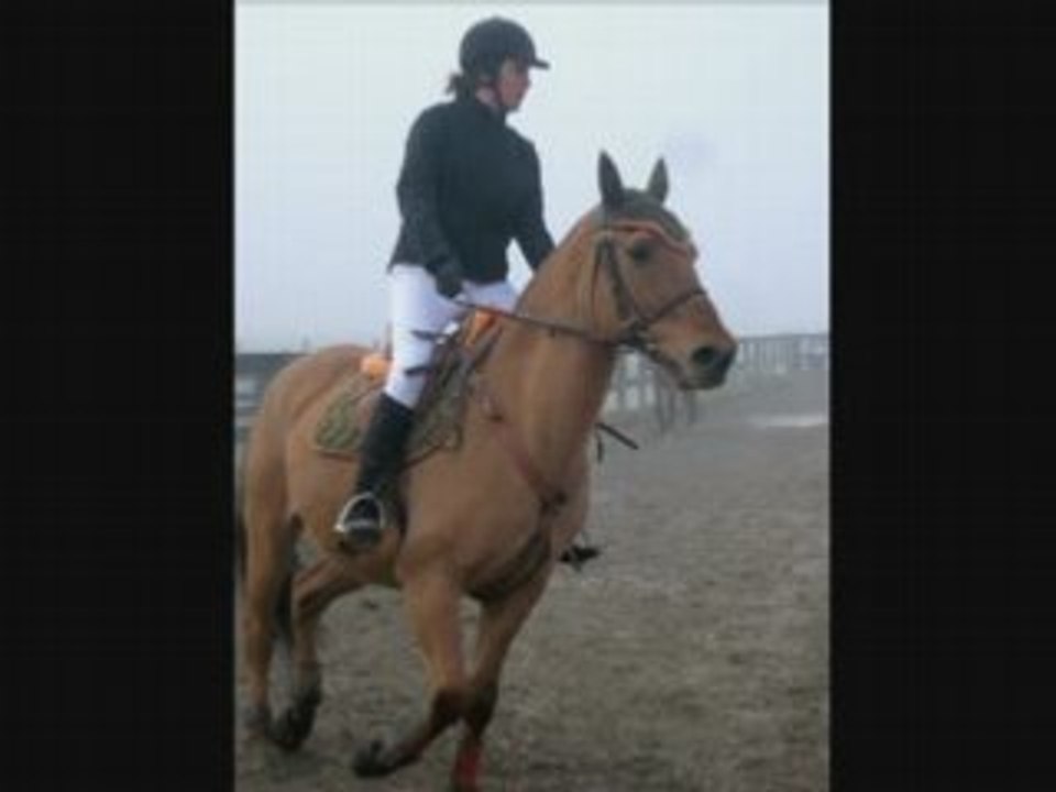 Arskélad & moi // Concours E3 et E2 // 19-10-2008