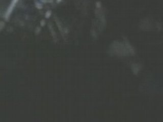 Rock n roller coaster Terrorific Night