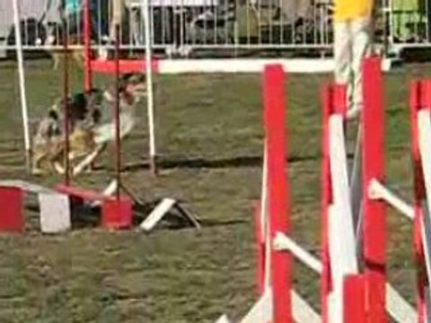 UNDER JUMP IPAC 08(1)