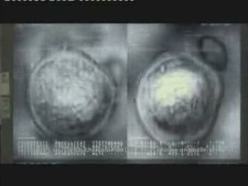 MGS 4 - Acte II, Chapitre 5: Foxdie