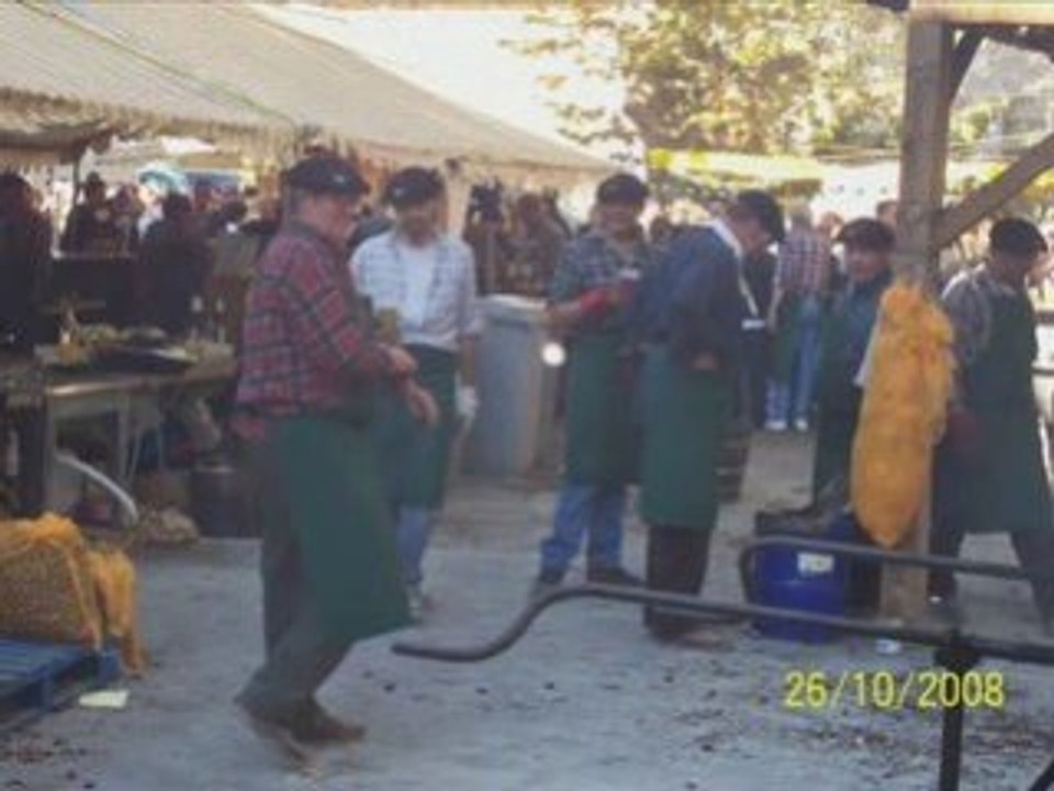 Du 13 au 34   la fête de la châtaigne 2008 ST PONS