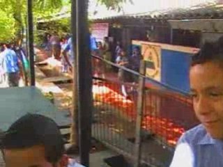 MIS AMIGOS DEL CECCAS