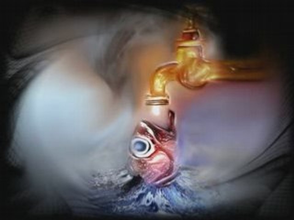 O2
