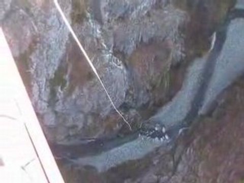 Thomas Oberson - Saut à l'élastique à Niouc (190m)