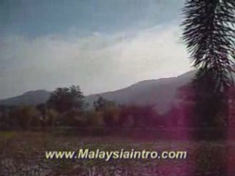 Taiping Lake Garden View 6 Lily Pond