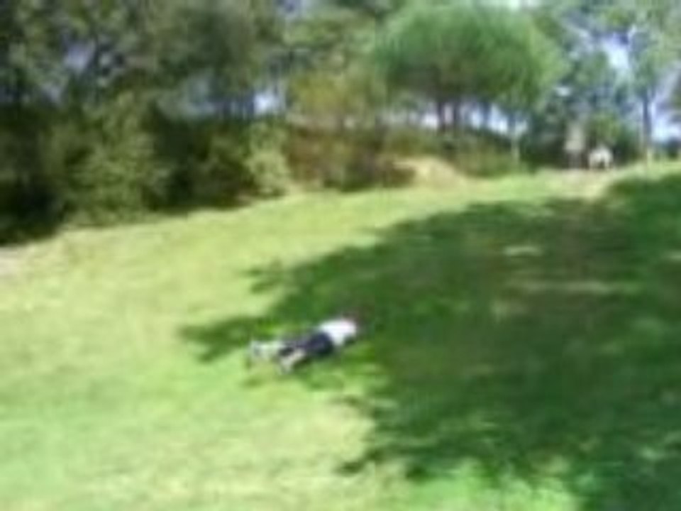 MOV00162