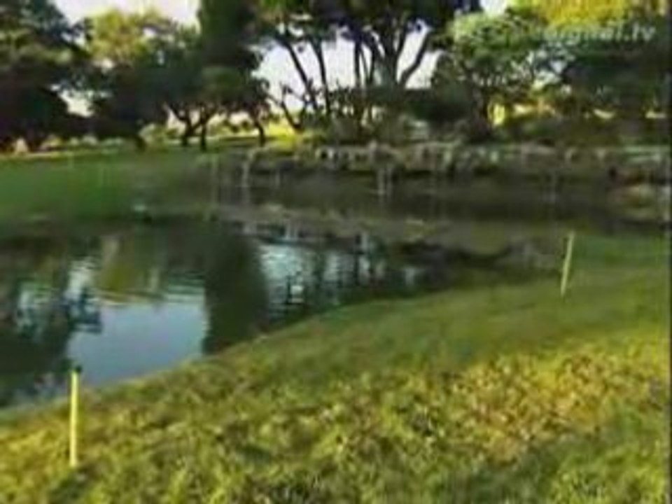 Hindernisse_beim_golfspiel