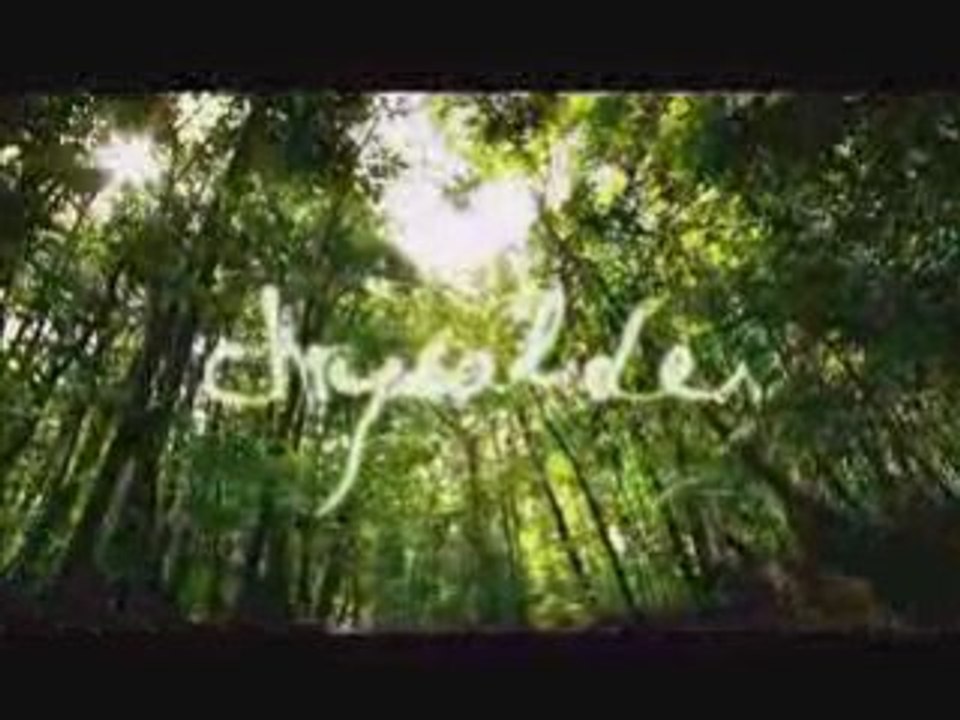 Chrysalides : teaser
