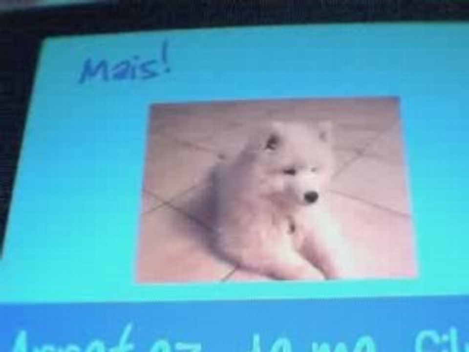 Spike, le premier jour..