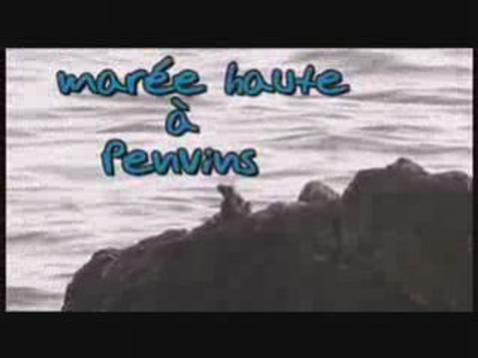 Maree_haute_a_penvins
