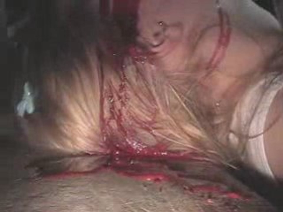 Waking The Cadaver- bloodsplaterred