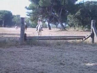 cross avec toute lékip