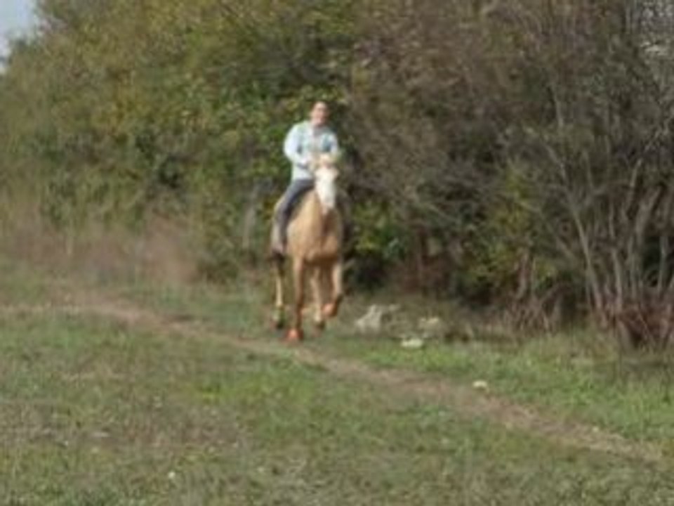 daphnée et son cheval
