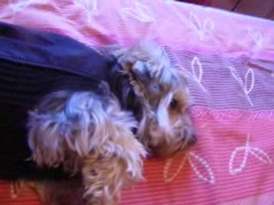 Chuna boude avec son pull