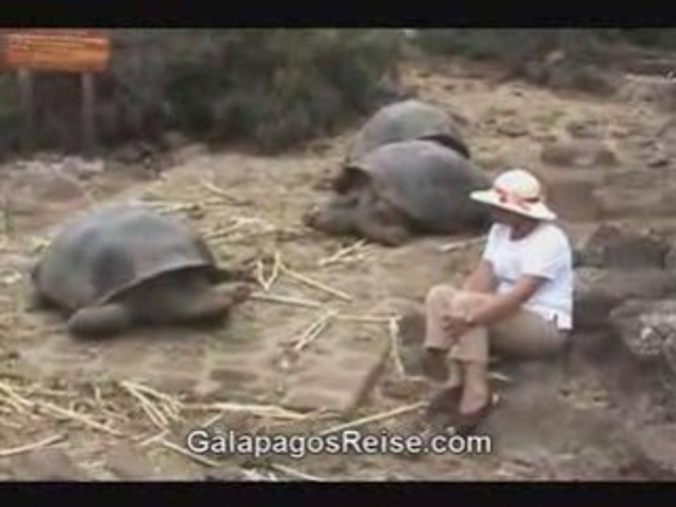Charles Darwin Station Galapagos