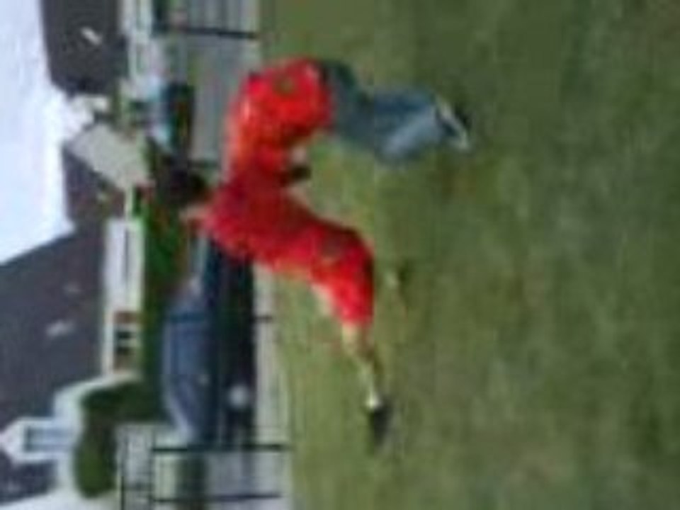 Riko VS Prek'Os Challenger numero un a la ECC