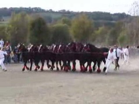 Prix de famille gagnant a MAURS, 18-10-2008