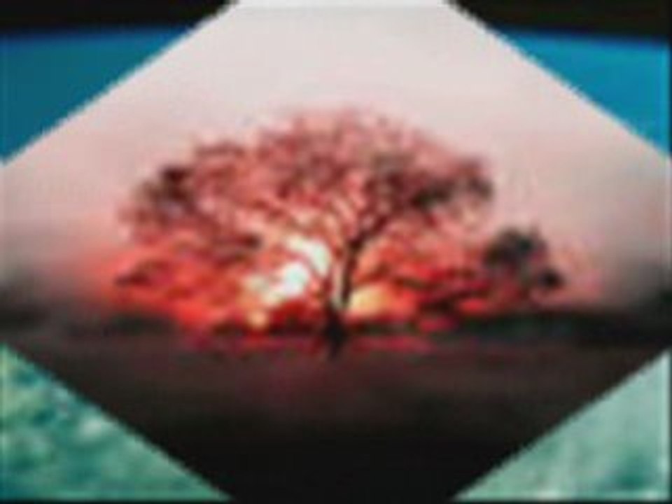 Sormayın Halimi Orhan BÖRÇEK(Ozan YESARİ) Şiir